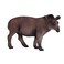 Mojo Brazilian Tapir Realistic International Wildlife Hand Painted Toy Figurine