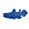 Mojo Coelacanth Collectable Sealife Ocean Animal Toy Figure