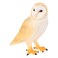 Mojo Barn Owl Realistic International Wildlife Toy Replica Hand Painted Figurine
