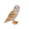 Mojo Barn Owl Realistic International Wildlife Toy Replica Hand Painted Figurine
