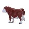 Mojo Farmland Hereford Bull - 381073
