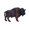 Mojo American Bison/Buffalo