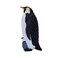 Mojo Wild Life 381082 Keizer Spinguin With Kuiken