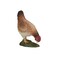 Mojo Fun 387053 Colorful Hen Pecking- Realistic Barnyard Farm Chicken