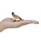 Mojo Fun 387053 Colorful Hen Pecking- Realistic Barnyard Farm Chicken