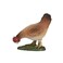 Mojo Fun 387053 Colorful Hen Pecking- Realistic Barnyard Farm Chicken