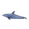 Mojo Animal Bottlenose Dolphin