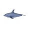 Mojo Animal Bottlenose Dolphin