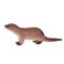 Mojo Animal Common Otter