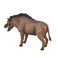 Mojo Entelodont Daeodon Realistic Prehistoric Extinct Animal Collection Hand Painted Toy Figurine