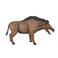 Mojo Entelodont Daeodon Realistic Prehistoric Extinct Animal Collection Hand Painted Toy Figurine