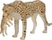 Mojo Animal Cheetah Female With Cub