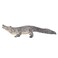Mojo Animal Alligator With Moving Jaw