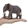 Mojo Animal African Elephant