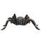 Mojo Animal Red Kneed Tarantula