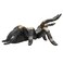 Mojo Animal Red Kneed Tarantula