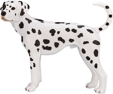 Mojo Animal Dalmatian