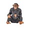Mojo Animal Chimpanzee