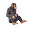 Mojo Animal Chimpanzee