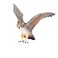 Mojo Animal Great Horned Owl