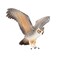 Mojo Animal Great Horned Owl