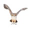 Mojo Animal Great Horned Owl