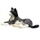 Mojo Animal Cat Lying Black And White