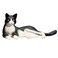 Mojo Animal Cat Lying Black And White
