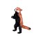 Mojo Red Panda Collectable Wildlife Asian Animal Toy Figure