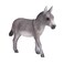 Mojo Animal Donkey