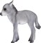 Mojo Animal Donkey Foal