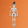 Hanging Skeleton Glow In the Dark Game