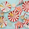 Circus Paper Cups 8Ct