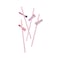 Make Up Paper Straws 16Ct