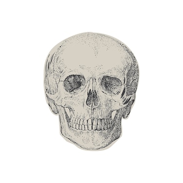 Skull Paper Napkins 16pcs/pack