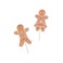 Food Picks 12pcs/Pack