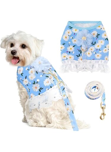 Floral Small Dog Harness Leash Set Dress for Girl, Cute Daisy Design Breathable Air Mesh Puppy Harness for Female Small Medium and Large Dogs Cats (Blue (flower), L)