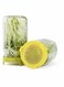 Easy Rinse Drain Plastic Sprouting Lids for Wide Mouth Jars, 6 Pack
