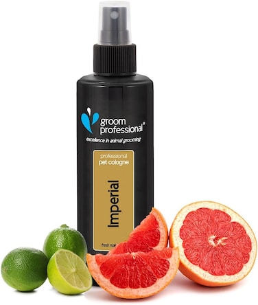 Groom Professional Prince Cologne Perfume -Refreshing Male Scent-200ml