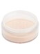 Lasting Perfection Sheer Loose Powder - Translucent