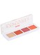 Mini Eyeshadow Palette - Explorer