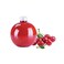 Hotpack Zero Shape Plastic Bottles 250ml, 10 Pieces