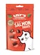Lily's Kitchen Salmon Pillow Cat Treats 60g