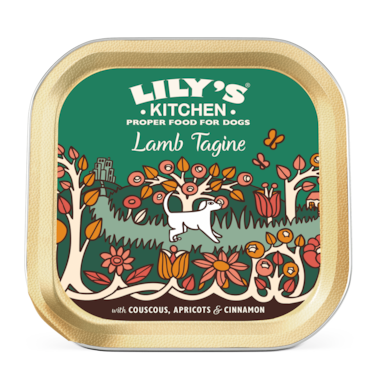 Lily's  Kitchen Dog Tagine LAMB (150g) Pack  of  12
