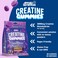 Applied Nutrition Creatine Gummies, Millions Blackcurant, 80 Gummies