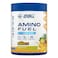 Applied Nutrition Amino Fuel - Amino Acids Supplement, EAA Essential Amino Acids Powder, Muscle Fuel &amp; Recovery (390g - 30 Servings) (Pineapple)