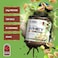 Applied Nutrition Critical Whey Protein Powder &ndash; 24g Protein per Serving, High Protein Powder, Protein Shake with BCAAs &amp; Glutamine, Muscle Growth &amp; Recovery (2Kg - 61 Servings) (White Choc Pistachio)