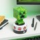 PALADONE  Creeper Room Guard