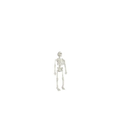 Halloween Sketelons 18cm 6Pcs/Pk