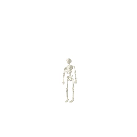 Halloween Sketelons 18cm 6Pcs/Pk